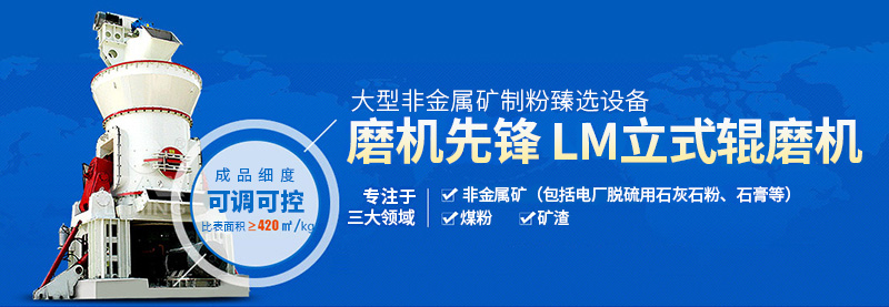 立磨,立式輥磨機(jī),立式磨煤機(jī),雷蒙磨粉機(jī)廠家,雷蒙磨粉機(jī)價(jià)格